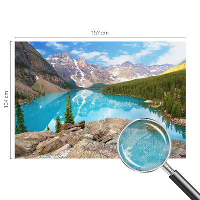 Fototapet 3d pentru living Cercuri de lemn