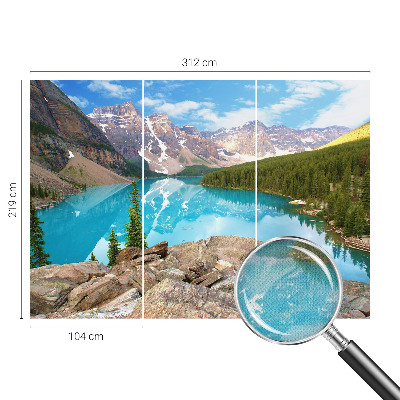 Fototapet 3d pentru living Cercuri de lemn