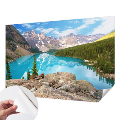 Fototapet 3d pentru living Cercuri de lemn
