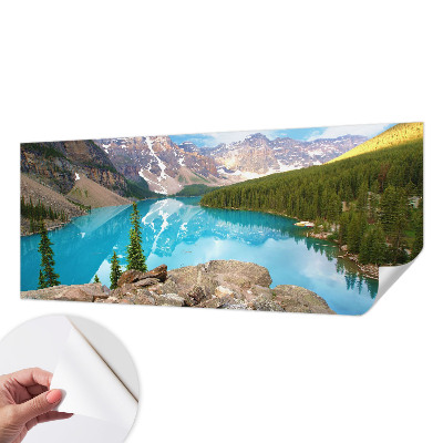Fototapet 3d pentru living Cercuri de lemn