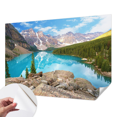 Fototapet 3d pentru living Cercuri de lemn
