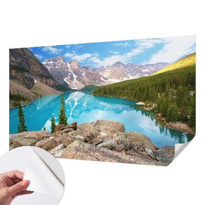 Fototapet 3d pentru living Cercuri de lemn