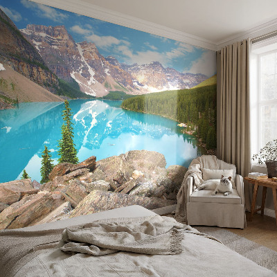 Fototapet 3d pentru living Cercuri de lemn