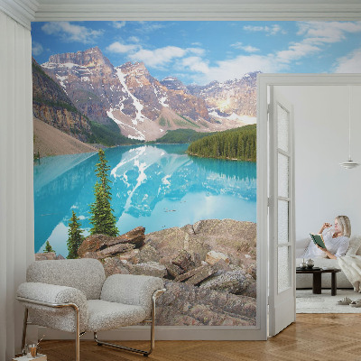 Fototapet 3d pentru living Cercuri de lemn