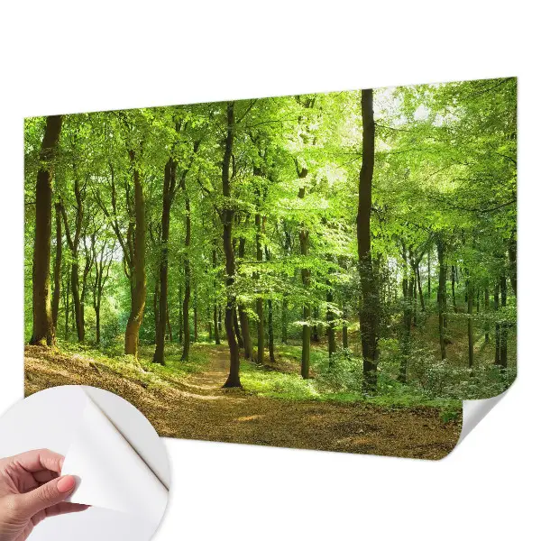 Tapet autocolant perete Hexagone pastelate