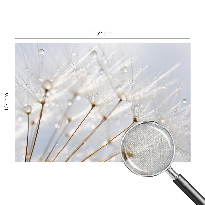Fototapet 3D pentru living cu motiv de verdeață naturală