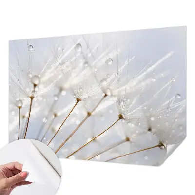 Fototapet 3d pentru living Verdeață naturală