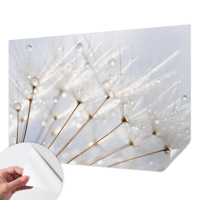 Fototapet 3D pentru living cu motiv de verdeață naturală