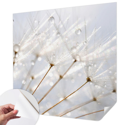 Fototapet 3D pentru living cu motiv de verdeață naturală