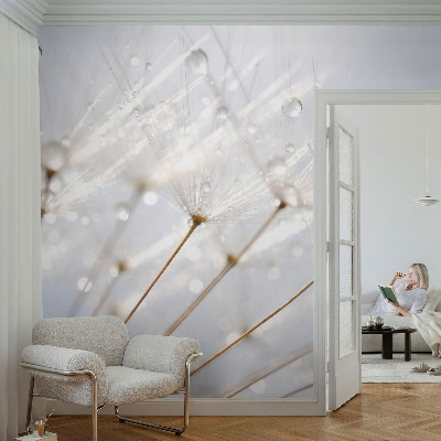 Fototapet 3D pentru living cu motiv de verdeață naturală