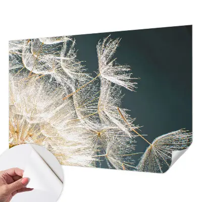 Nazwa produktu Vârtejuri abstracte
