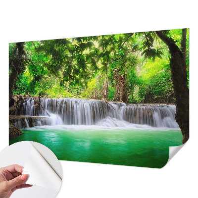 Tapet autoadeziv cu model de păsări colorate