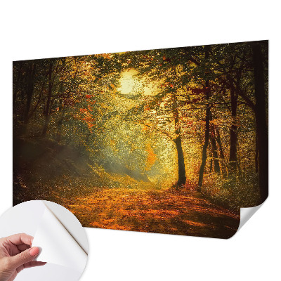 Fototapet autoadeziv pentru living cu panoramă a pădurii