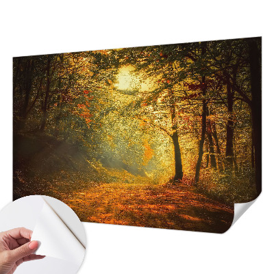 Fototapet autoadeziv pentru living cu panoramă a pădurii