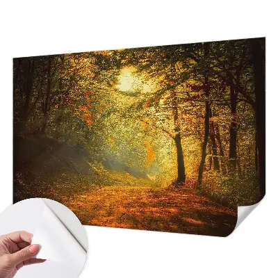 Fototapet autoadeziv pentru living Panoramă a pădurii