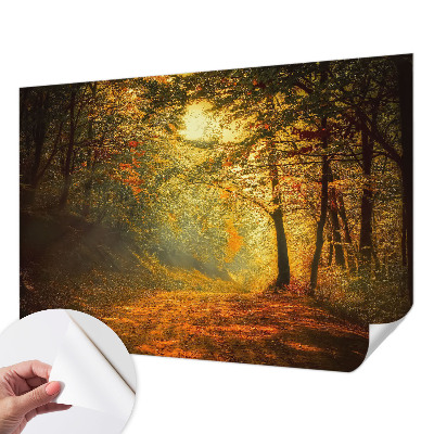 Fototapet autoadeziv pentru living cu panoramă a pădurii