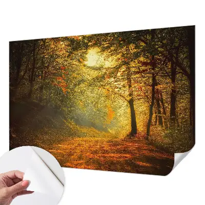 Fototapet autoadeziv pentru living Panoramă a pădurii