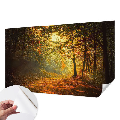 Fototapet autoadeziv pentru living cu panoramă a pădurii