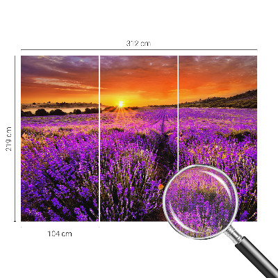 Fototapet 3d cu motivul ‘Amurg atmosferic’