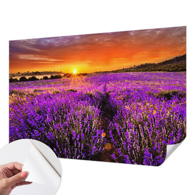 Fototapet 3d cu motivul ‘Amurg atmosferic’