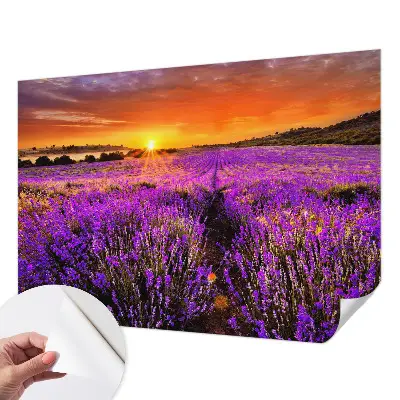 Fototapet 3d Amurg atmosferic