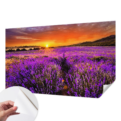 Fototapet 3d cu motivul ‘Amurg atmosferic’