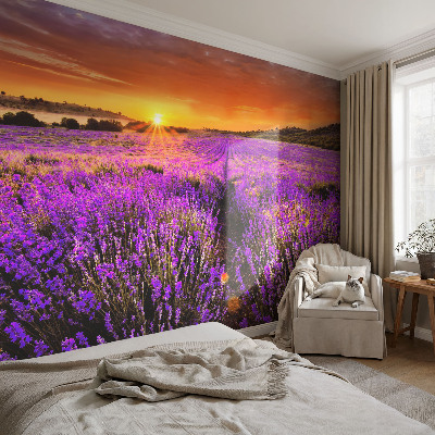 Fototapet 3d cu motivul ‘Amurg atmosferic’