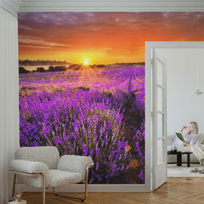 Fototapet 3d cu motivul ‘Amurg atmosferic’