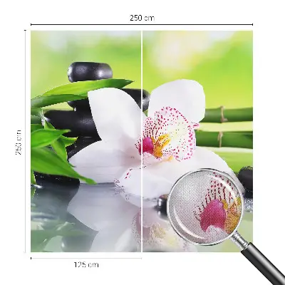 Fototapet 3d pentru living Scânduri de lemn