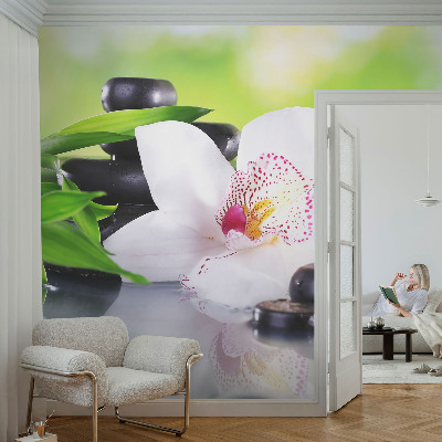 Fototapet 3D pentru living cu motiv de scânduri de lemn