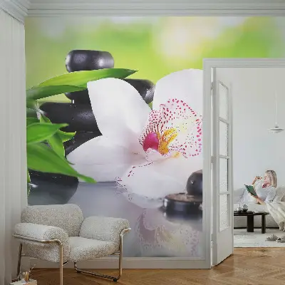 Fototapet 3d pentru living Scânduri de lemn