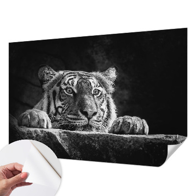 Fototapet 3d autoadeziv Abstracție albastră