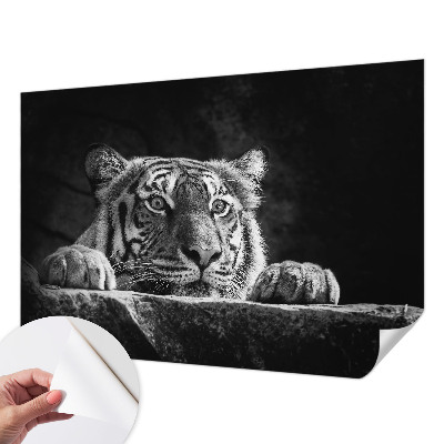 Fototapet 3D autoadeziv cu motiv abstract albastru