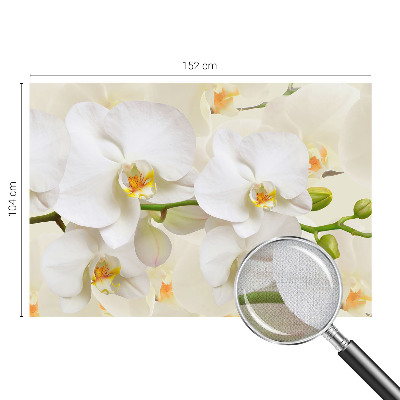 Fototapet 3d cu textură cu frunze