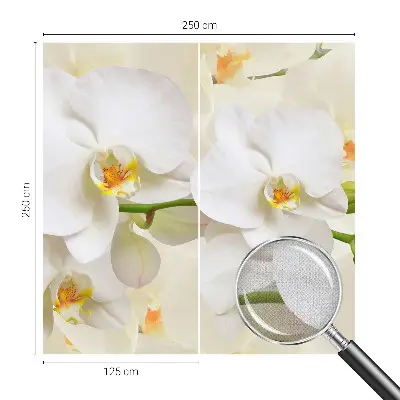 Fototapet 3d Textură cu frunze