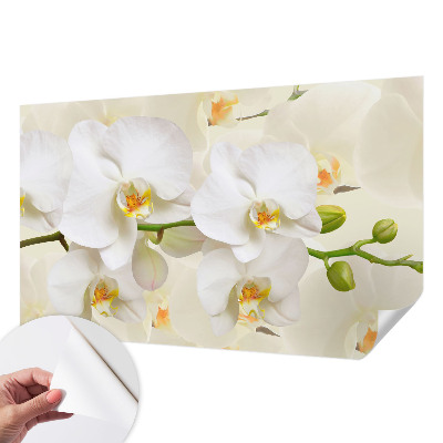 Fototapet 3d cu textură cu frunze
