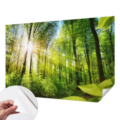 Fototapet autocolant Textură de marmură