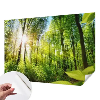 Fototapet autocolant Textură de marmură