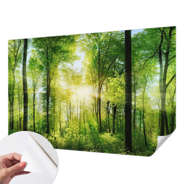 Fototapet 3D autoadeziv cu motiv abstract în tonuri pastelate