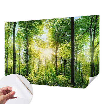 Fototapet 3d autoadeziv Abstracție pastelată