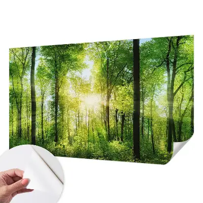 Fototapet 3d autoadeziv Abstracție pastelată