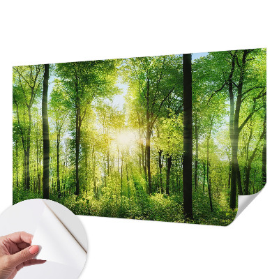 Fototapet 3D autoadeziv cu motiv abstract în tonuri pastelate