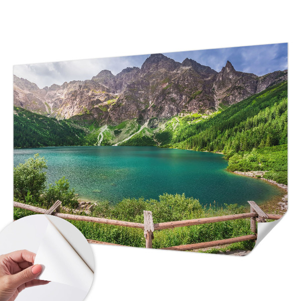Fototapet 3d autoadeziv Peisaj de pe litoral