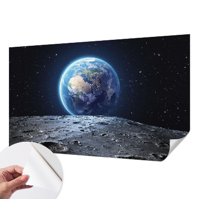 Fototapet 3D autoadeziv cu motiv de junglă tropicală