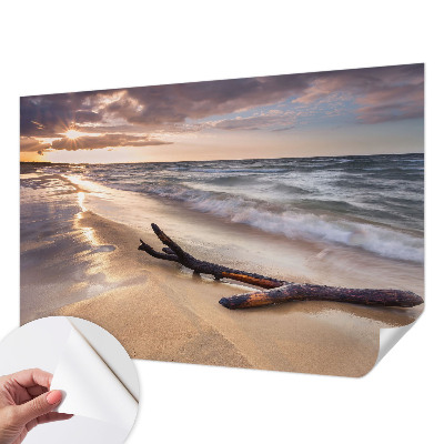Fototapet 3D pentru dormitor cu model de ramuri goale