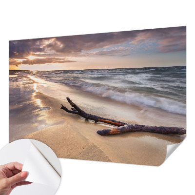 Fototapet 3D pentru dormitor cu model de ramuri goale
