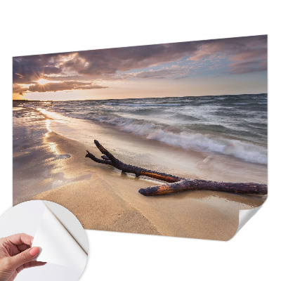 Fototapet 3D pentru dormitor cu model de ramuri goale