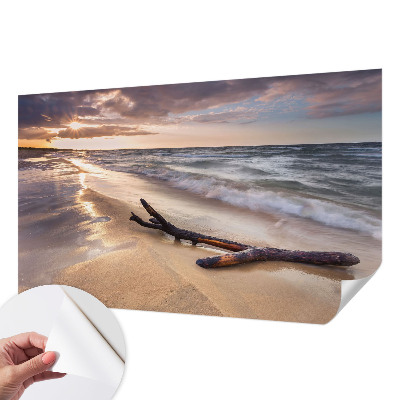 Fototapet 3D pentru dormitor cu model de ramuri goale