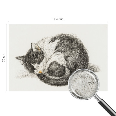 Fototapet autoadeziv pentru living cu design inspirat din vestul suprarealist
