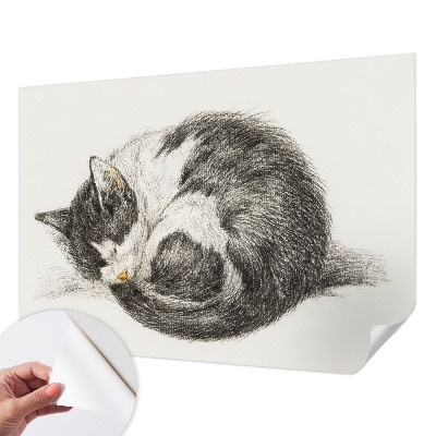 Fototapet autoadeziv pentru living cu design inspirat din vestul suprarealist